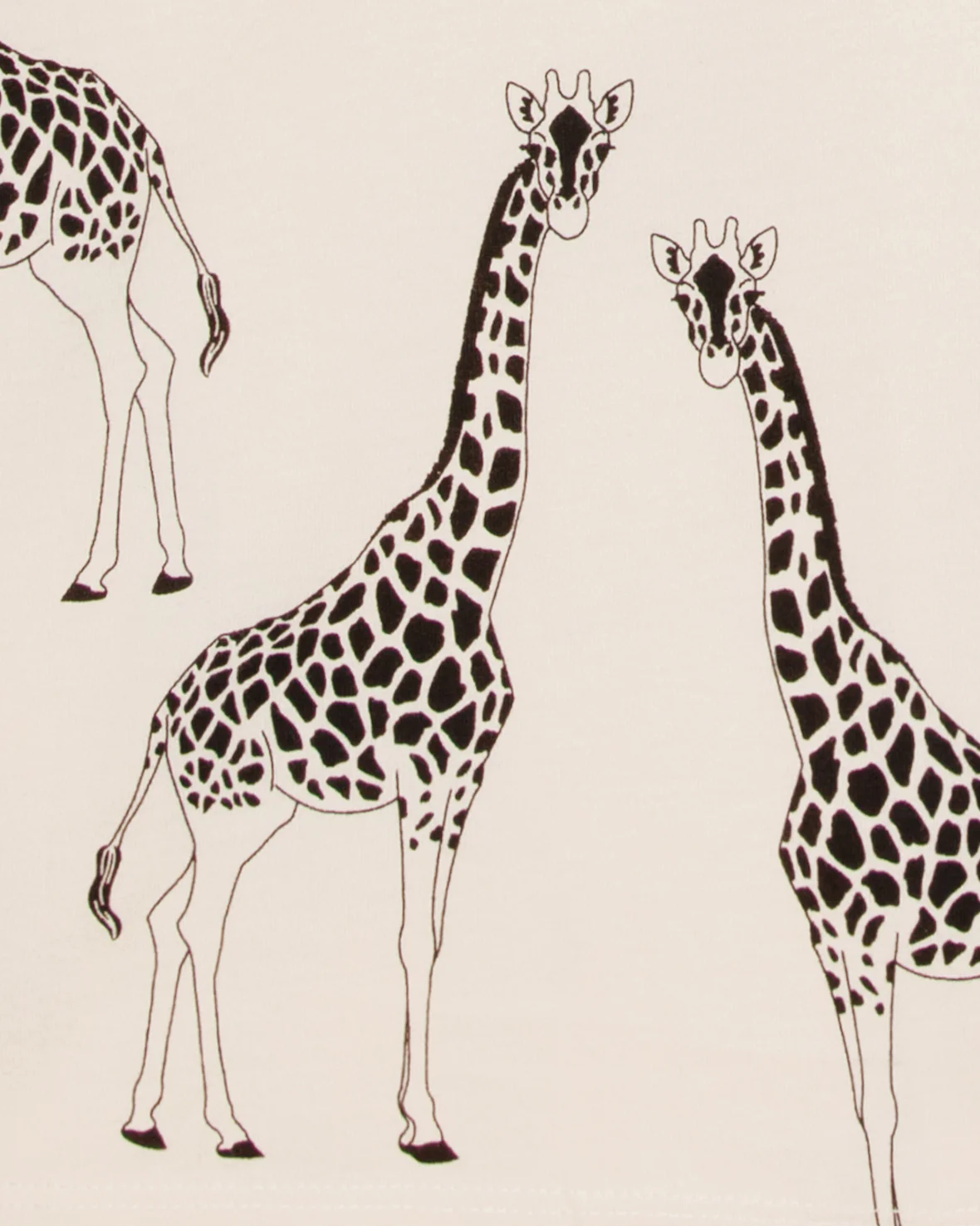 Organic Cotton Giraffe Print Short Pyjama Set - Cream - Image 7