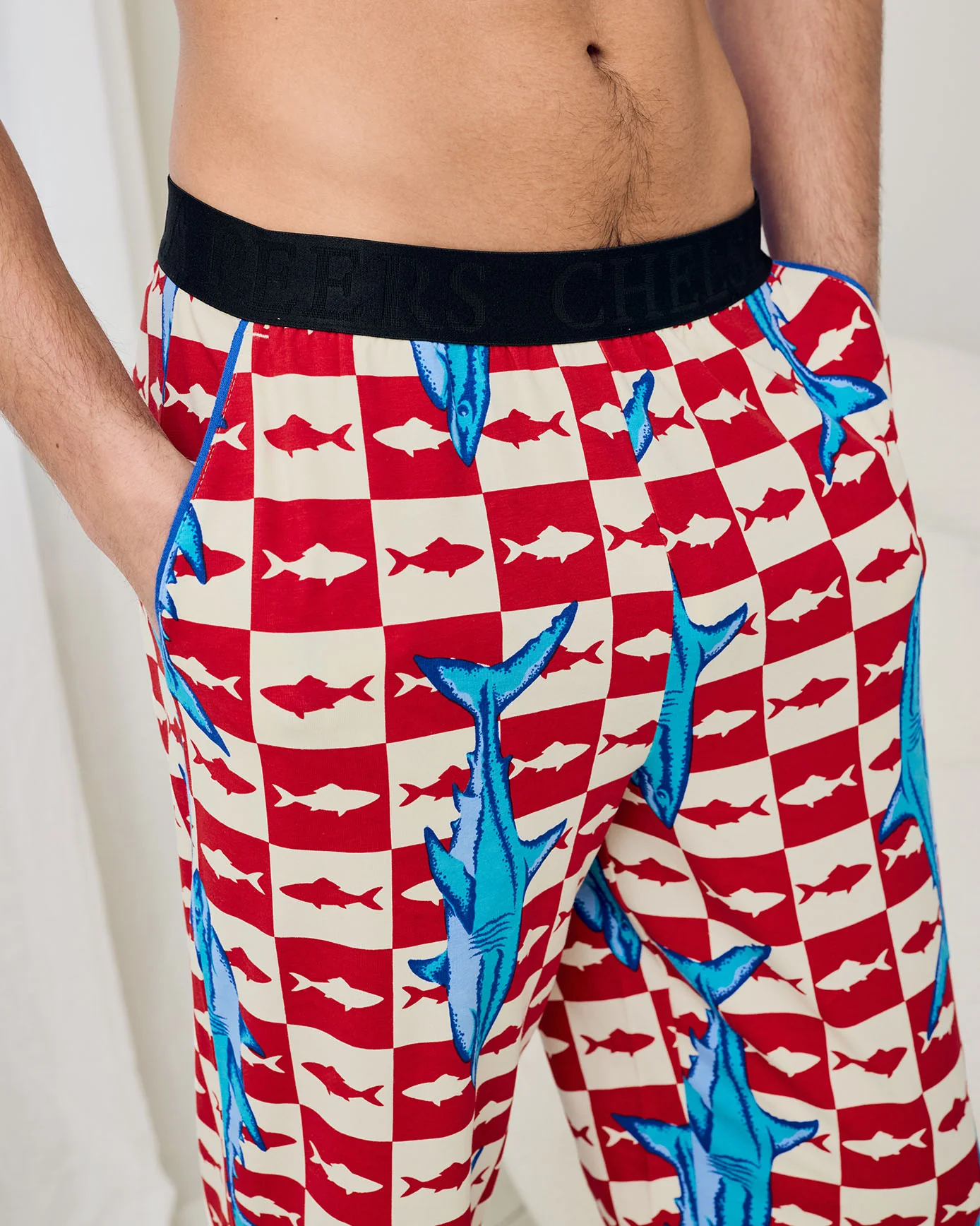 Organic Cotton Checkerboard Shark Print Long Pyjama Bottoms - Image 3