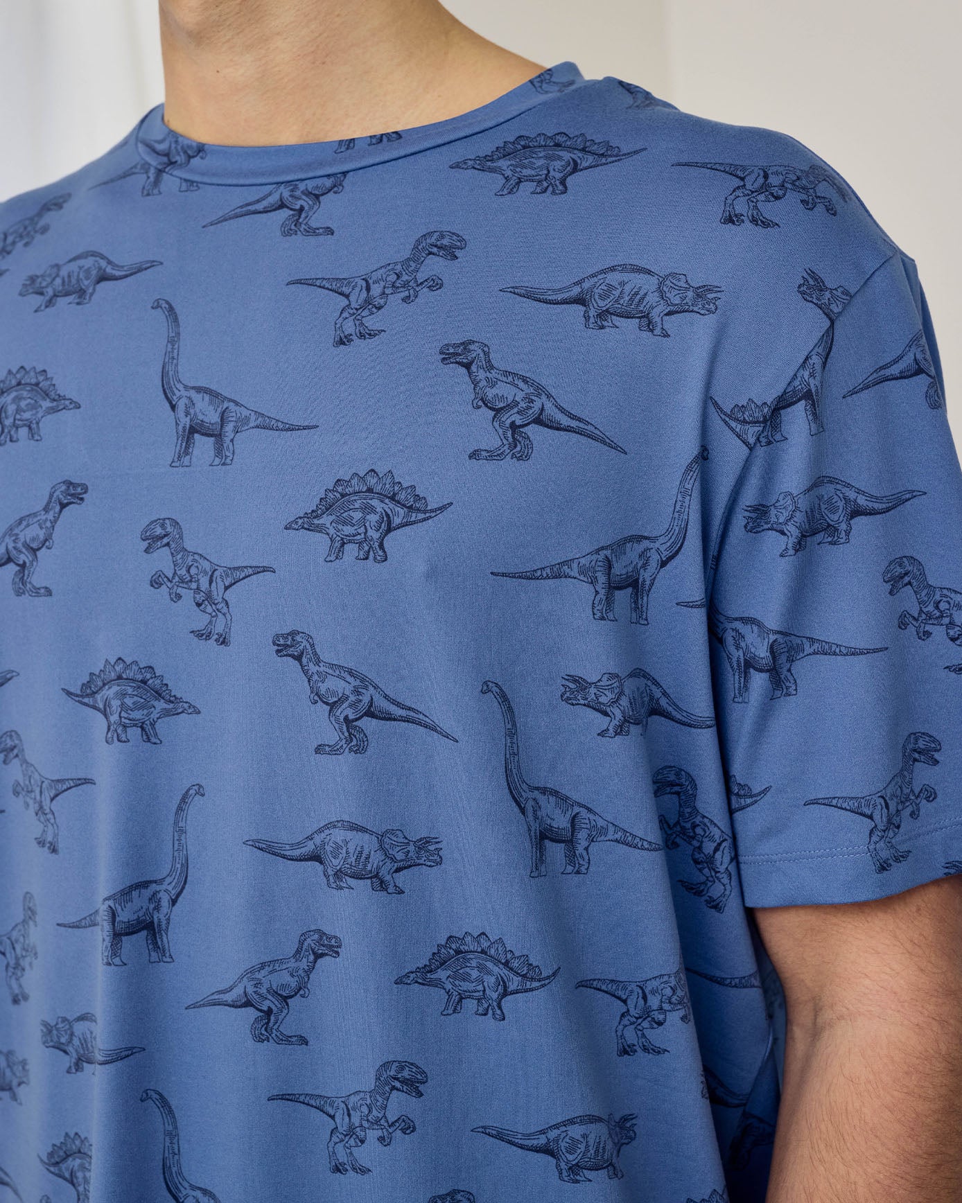 Tonal Dinosaur Print Short Pyjama Set - Image 5
